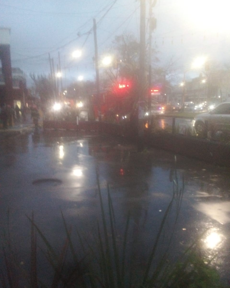 WhatsApp Image 2025-09-03 at 12.54.54