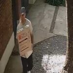 WhatsApp Image 2025-11-14 at 18.25.08