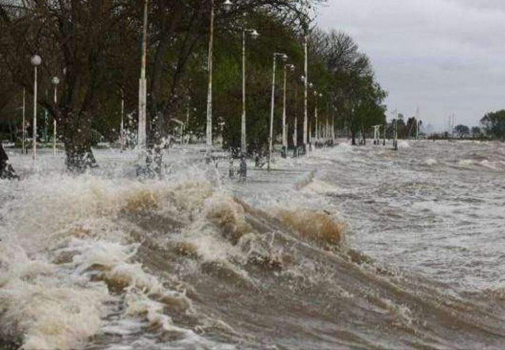 WhatsApp Image 2025-11-14 at 18.25.50