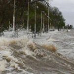 WhatsApp Image 2025-11-14 at 18.25.50