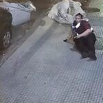 a9c17d03-ddc2-4877-b16e-4df928dcf526