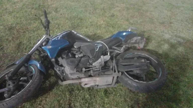 large_PHOTO_2025_12_21_11_35_01_b0cd542a24