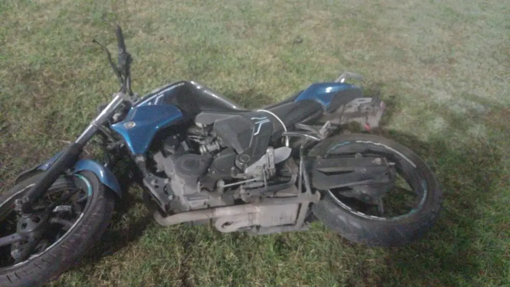 large_PHOTO_2025_12_21_11_35_01_b0cd542a24