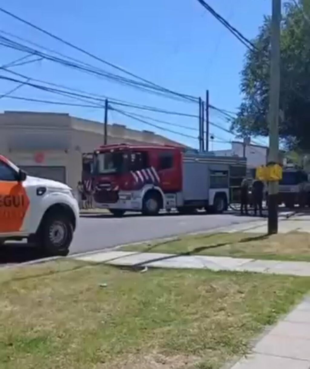 WhatsApp Image 2026-01-24 at 11.02.40 AM