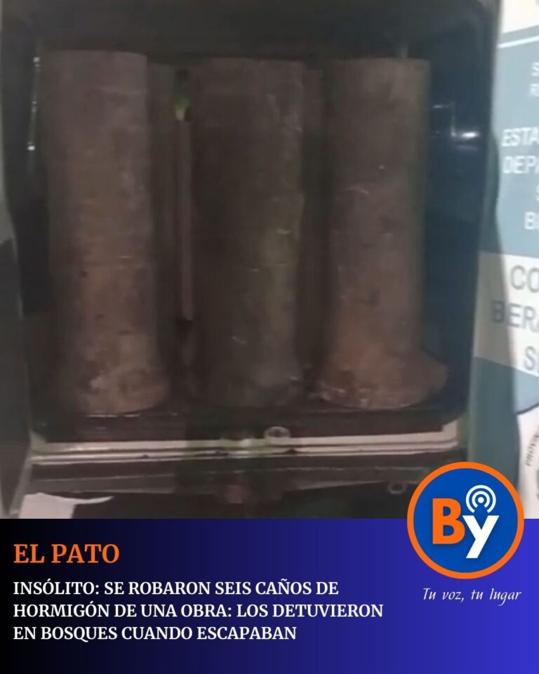 WhatsApp Image 2026-01-30 at 10.59.43 AM (1)