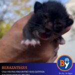 Noticias, Servicios & Marketing (2)