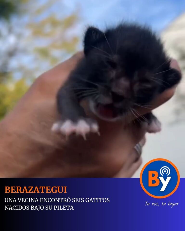 Noticias, Servicios & Marketing (2)