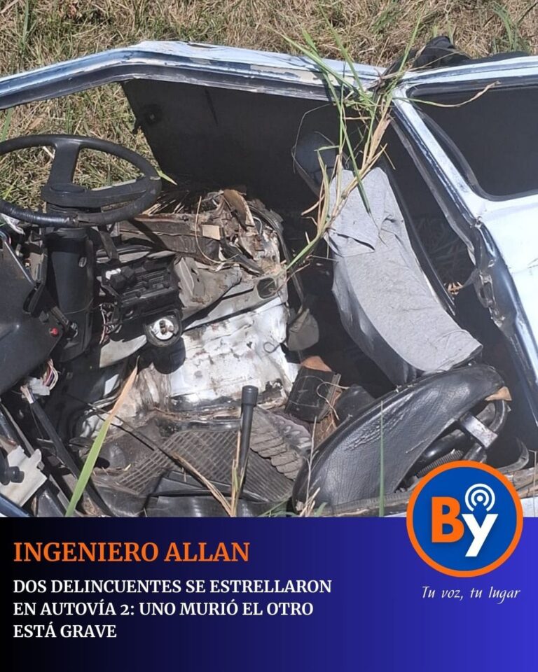 WhatsApp Image 2026-02-01 at 12.23.17 PM