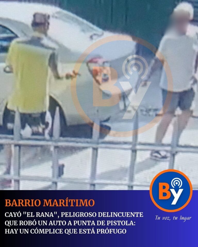 WhatsApp Image 2026-02-11 at 9.13.25 PM