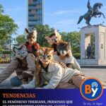 WhatsApp Image 2026-02-12 at 10.34.26 AM