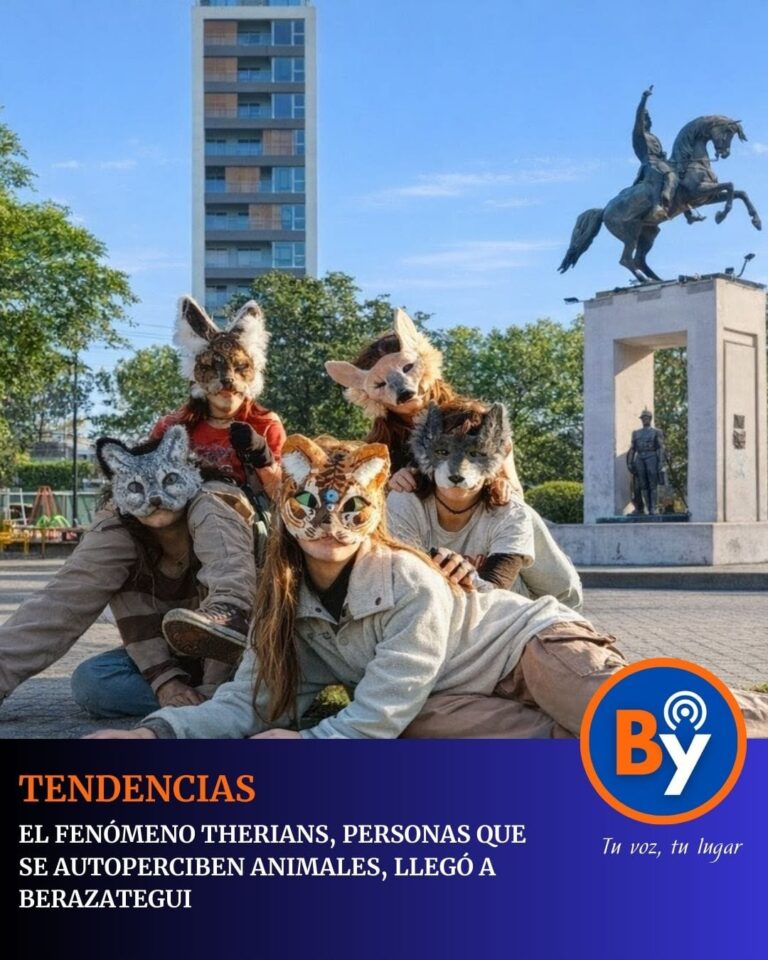 WhatsApp Image 2026-02-12 at 10.34.26 AM