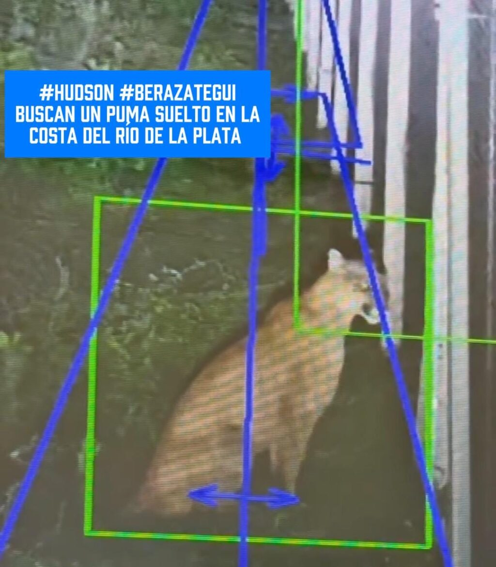 WhatsApp Image 2026-03-03 at 8.02.17 AM