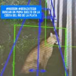 WhatsApp Image 2026-03-03 at 8.02.17 AM