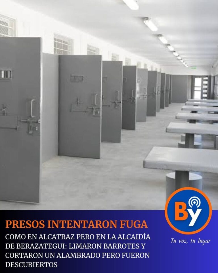 WhatsApp Image 2026-03-08 at 21.48.33